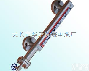 <em>高温高压</em>型  <em>高温高压</em>型 液位计