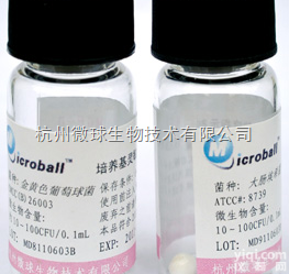 5ml  <em>microball定量质控菌种</em>