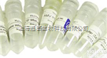GXT载体PCR克隆<em>试剂盒</em>（ccdB T-vector PCR Clo...