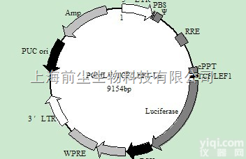 <em>Lentivirus</em> TCF/LEF1 luciferase repo...