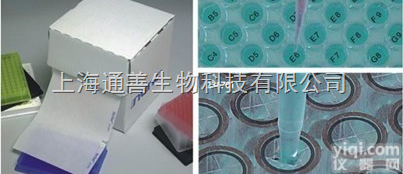 232699  封板膜，384<em>孔板</em>中<em>PCR</em>的储存,NUNC现货