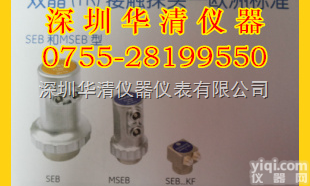 <em>SEB1</em>,SEB2<em>双晶</em>直<em>探头</em>  <em>双晶</em>直<em>探头</em><em>SEB1</em>,SEB2