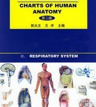 <em>医学</em><em>教学</em><em>挂图</em>