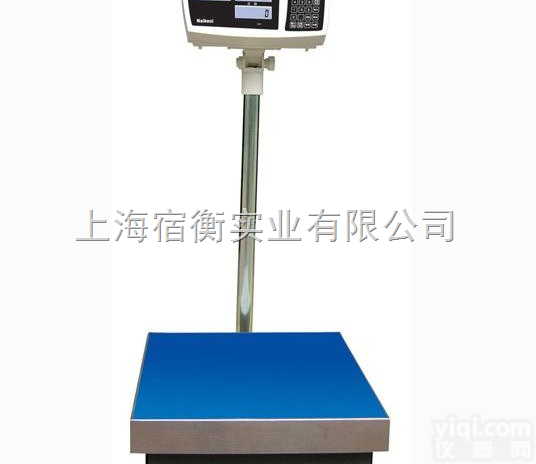 耐<em>克斯</em>Naikesi<em>电子秤</em>批发，TZ系列计重电子称仪表