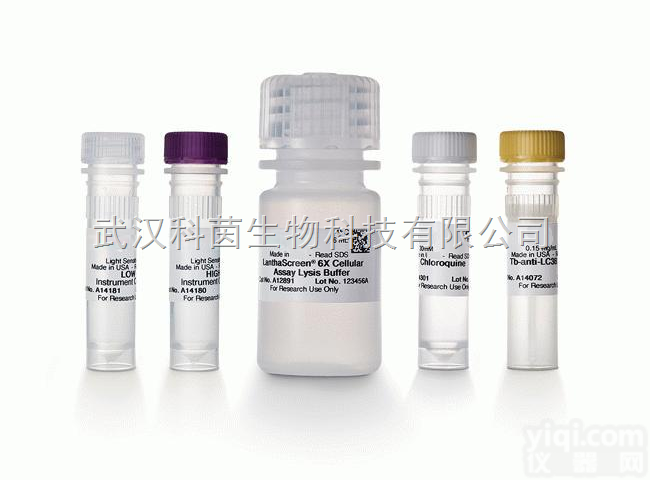 cr-4-4  HSA，抗人<em>血清</em><em>白蛋白</em>，配对<em>抗体</em>|HSA抗人<em>血清</em><em>白蛋白</em>配对<em>抗体</em>