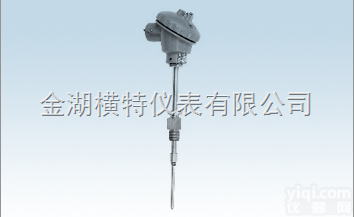 <em>防内漏铠装型组装热电偶（阻）</em>