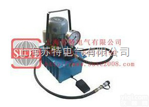 CTE-2S 单动式电动泵（押扣式或<em>脚踏</em>式<em>开关</em>操作）