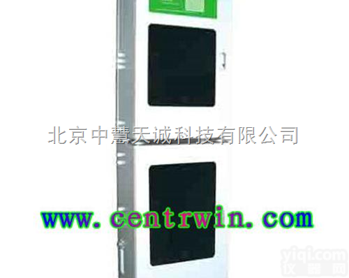 <em>总磷在线分析仪</em>/在线总磷分析仪 型号：ZH6594