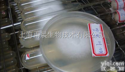 乳<em>酸乳</em><em>球菌</em>乳酸<em>亚种</em>  乳<em>酸乳</em><em>球菌</em>乳酸<em>亚种</em>