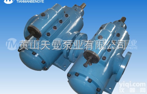 2Ga104-40  2Ga104-40双<em>螺杆泵</em>/<em>黄山</em><em>螺杆泵</em>厂家