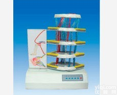 GD/A18225  <em>脊髓</em>反射与<em>损伤</em>表现电动模型