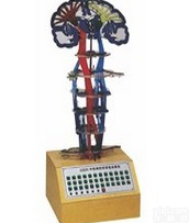 GD/A17207  GD/A17207 <em>平衡觉</em>传导<em>电动</em>模型