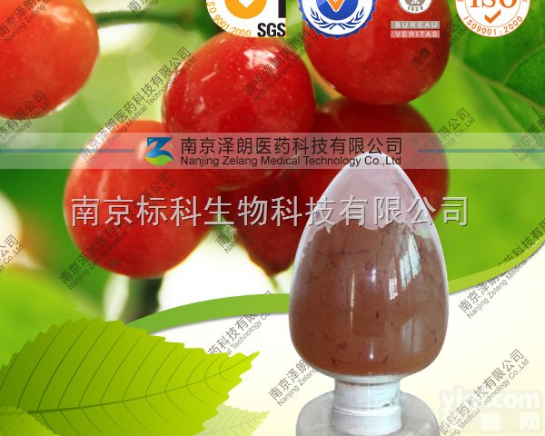 <em>针叶</em><em>樱桃</em><em>提取物</em>