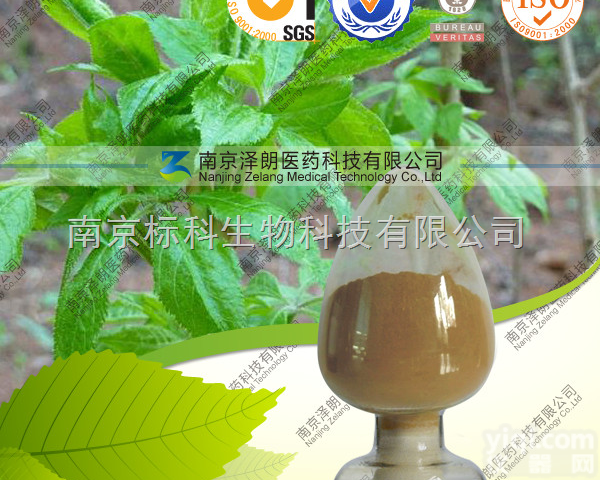 <em>刺五加提取物</em>  <em>刺五加提取物</em>