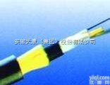 ADSS全介质<em>自承式</em>  天康洲鸽<em>光缆</em>