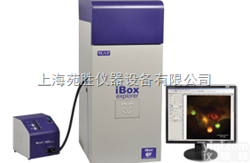 iBox Explorer  UVP iBox Explorer<em>活体</em>小<em>动物</em>荧光显微成像系统