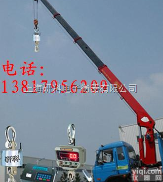 OCS  <em>上海</em>50吨<em>吊钩</em>秤<em>生产厂</em>家