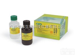 蛋白印迹检测系列-<em>化学发光</em>底物  biorad蛋白印迹检测系列-<em>化学发光</em>底物