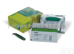 <em>Mini</em>-ProteanTGX<em>预制</em>胶  bio-rad <em>Mini</em>-ProteanTGX<em>预制</em>胶