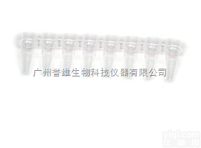 <em>PCR</em><em>耗材</em>-8，12联管  bio-rad <em>PCR</em><em>耗材</em>-8，12联管