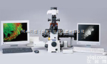 CI  <em>北京大学</em><em>尼康</em>NI微分干涉生物显微镜