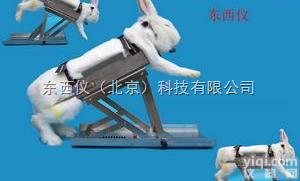 wi2436  多功能<em>兔子</em><em>固定架</em>（优势）