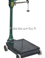 <em>TGT</em>  300kg<em>老式</em><em>机械</em>秤，300kg<em>老式</em><em>机械</em>秤称价格