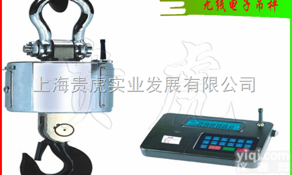 <em>OCS</em>  <em>100</em>吨<em>吊秤</em>-1-5标准<em>吊秤</em>