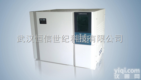 GC2020N  恒信<em>GC2020N气相色谱仪</em>GC2020