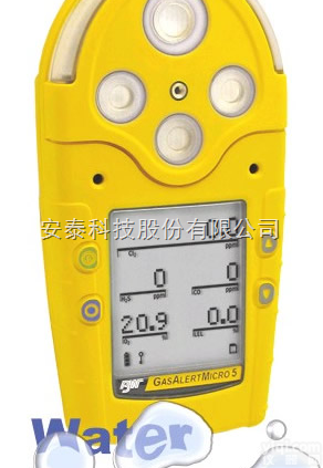 M5  复合式五合一气体报警仪，BW M5<em>五合一气体检测仪</em>，二氧化碳气体检测仪