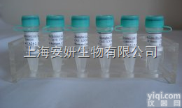 <em>细胞凋亡信号调节激酶1/丝裂原活化蛋白激酶激酶激酶5</em>抗原，ASK1/M...