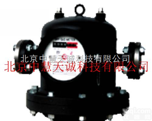 ZH1309  <em>干式气体流量计 型号：ZH1309</em>