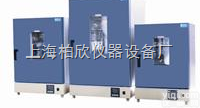 DGG-9240A  <em>DGG系列立式电热恒温鼓风干燥箱</em>老化箱