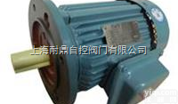 <em>YD系列变极多速三相异步电动机</em>
