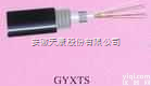 <em>安徽天康GYXTS光缆</em>