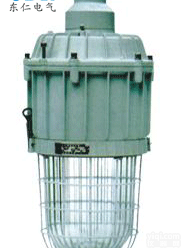 <em>BAD82</em>  <em>BAD82</em><em>系列</em>防爆GX节能HID灯（ⅡC） 三防灯