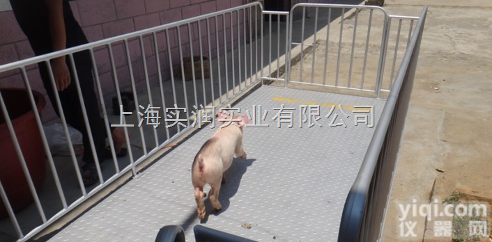 SCS-2T  2吨地磅秤<em>厂家</em>，秤牛的<em>电子秤</em>，上海<em>直销</em>