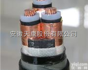 YJVP22  <em>金属屏蔽电力电缆</em>