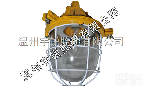 BYC6170厂用防爆灯  BYC6170厂用防爆灯/温州<em>防爆灯具</em>厂家/价格
