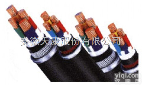 <em>金属屏蔽电力电缆</em>