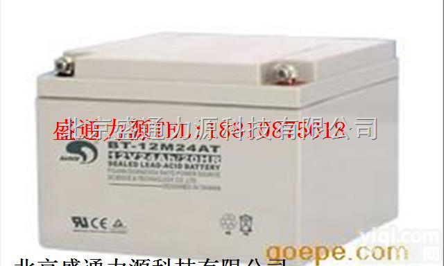 台湾赛特蓄电池 <em>电瓶</em>免维护BT-HSE-<em>38</em>-12（12V<em>38</em>Ah/1...