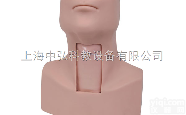 ZH/J58  高级<em>气管</em>切开插管训练模型，<em>气管</em>切开<em>护理模型</em>，<em>气管</em>切开插管模型