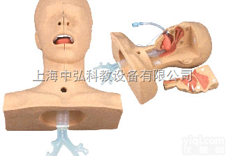 ZH/60  高级吸痰<em>练习</em><em>模型</em>，吸痰训练<em>模型</em>，吸痰<em>练习</em><em>模型</em>，吸痰<em>模型</em>