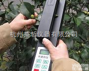 叶面积<em>测量仪</em>能测<em>叶片</em>的那些参数