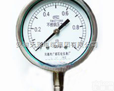 Y-60BF Y-100BF <em> Y-B不锈钢压力表</em>