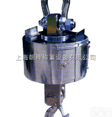 LK-OCS  电子吊秤，<em>湖州</em>1吨<em>耐高温</em>电子吊秤