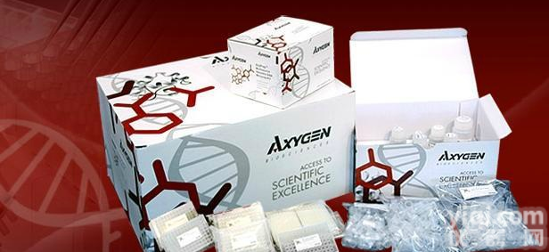 人幽门螺旋<em>杆菌</em>IgM酶免<em>试剂盒</em>，（Hp-IgM）ELISA<em>检测</em><em>试剂盒</em>