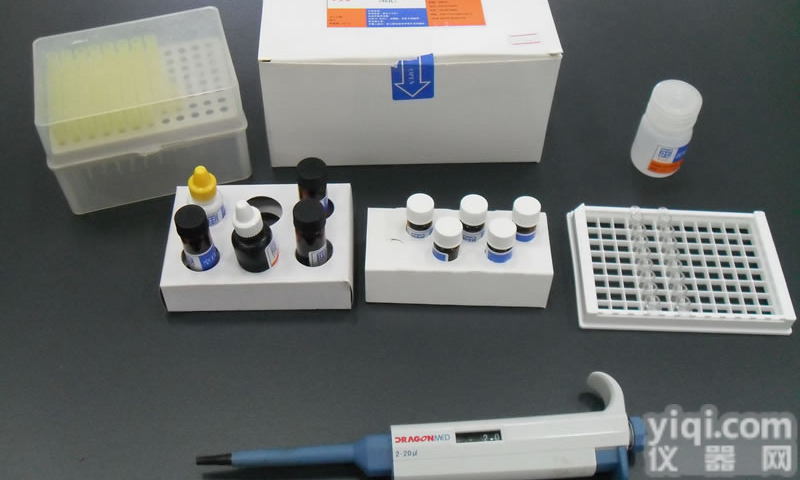 大鼠Ⅰ型胶原<em>交联</em>羧基末端肽酶免<em>试剂盒</em>，（ⅠCTP）ELISA<em>检测</em><em>试剂盒</em>