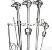 <em>WZPT</em>-31  电站<em>测温</em>用<em>热电阻</em>