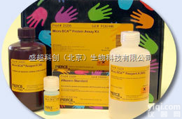 23235  <em>微量BCA蛋白定量分析</em>